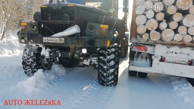 КраЗ-255 Лесовоз ветеран! Едем на деляну грузиться лесом смотреть онлайн