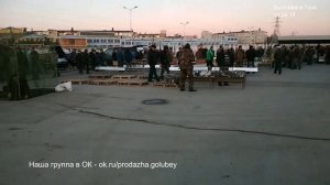 Отчет о весенней выставки голубей в Туле 14.04.18 года. | Выставки в России.
