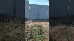 Чёрная археология, белых археологов Крыма