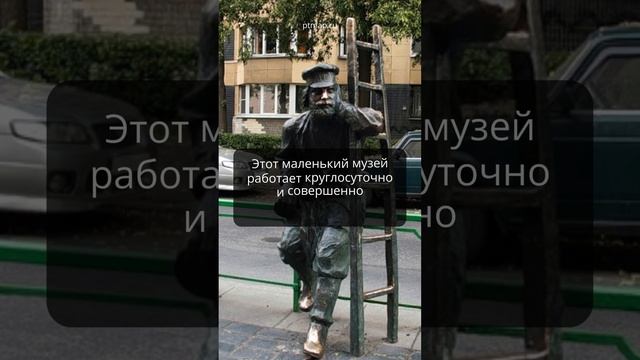 В эти музеи Петербурга можно попасть бесплатно