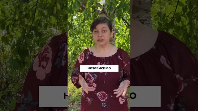 3 ИНСТРУМЕНТА чтобы освоить ЛЮБОЙ ЯЗЫК.Бесплатный вводный курс по ссылке в шапке профиля #английский