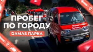 Внимание! Damas в городе. Яркий пробег по Санкт-Петербургу