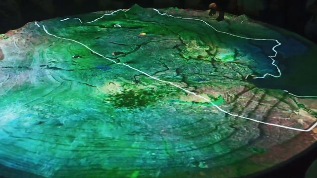 Летающий театр Алтын Самұрық Туркестан смотреть онлайн