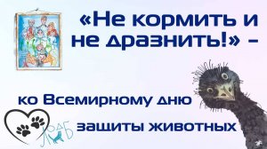 «Не кормить и не дразнить!» ко Всемирному дню защиты животных