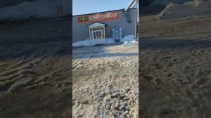 4 июня 2024 г.