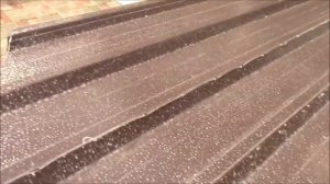 АТ49 Готовим червячник к зимовке. Дендробена. Черви Старатель. Калифорнийские черви