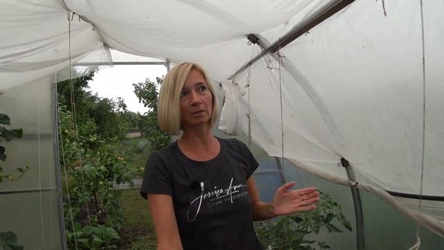 Как мы этого ждали! Будни станичников. Анапа. Гостагаевская смотреть онлайн