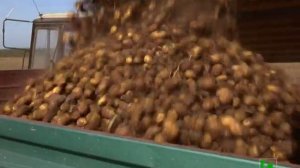 2020 11 07 Сельское хозяйство в Лысковском районе