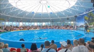 Дельфинарий Немо. Шоу дельфинов для всей семьи. Минск. Беларусь