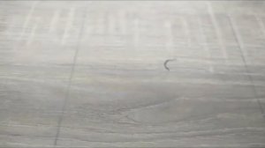 Испытания ламината Woodstyle Bravo на устойчивость к ударам