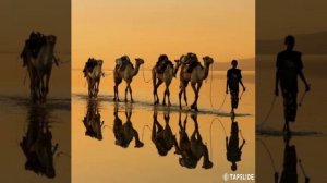 Генна Дий - КАРАВАН..mp4