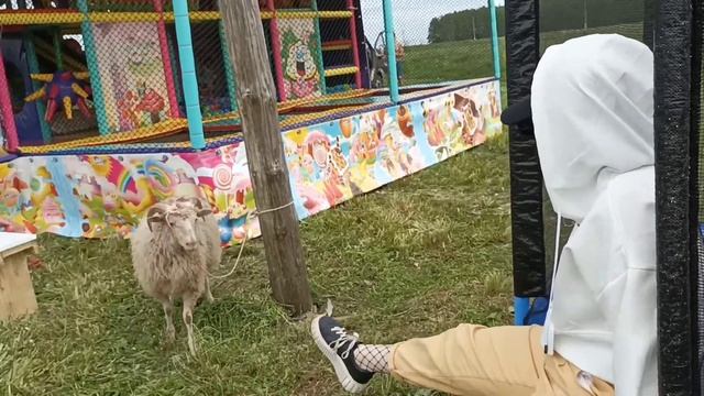 Сабантуй 2022.Подгорный Байлар.#диляра ,#сабантуй ,#Ришат Тухватуллин,#деревня ,#сладкаявата