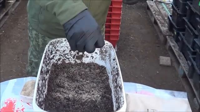 АТ236 Гриндаль Коконы Обман