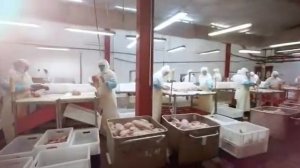 Профессия - изготовитель полуфабрикатов из мяса птицы