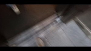 💥Очень редкие панорамные лифты в музее! Гидравлические лифты SEC(Q=1250, V=1.0, 2012 г.в.)