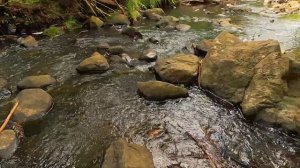 Calming Music for Meditation and Mindfulness: FindSerenity in New Zealand's Landscapes in 4K