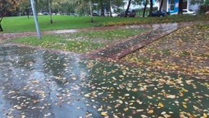 Не всё сбывается, как хочешь