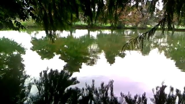 Lago смотреть онлайн