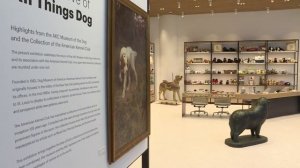 Ein Museum rund um den Hund