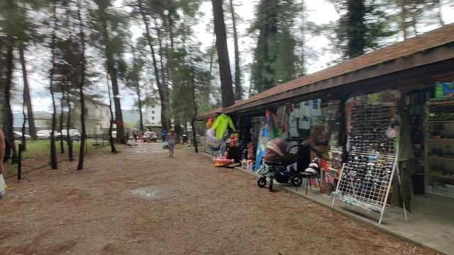 Пицунда.Роща.Апппартаменты VID_20240923_141542