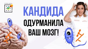 Кишечник и мозг: где связь? #психология  #пшб #иринабаранова