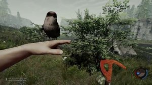 Отключение теней в The Forest