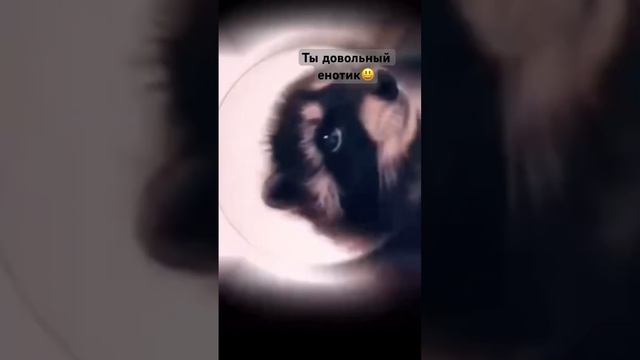 #амигуруми #вязание #пряжа #remix смотреть онлайн