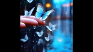 Капли - бабочки. Музыкальные истории