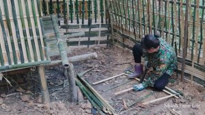 Man Has Two Wives Build Chicken Coop, Raise Chickens, Ducks for New Life in the Green Forest - Ep.1