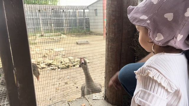 Воскресный день! Этнографический парк-музей Этномир.