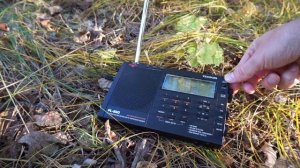 Радиоприёмник Tecsun PL660 в лесу