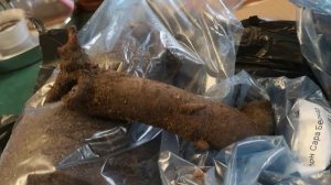 Купила корни пионов в Садах России