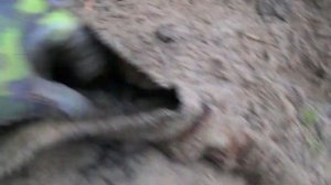 коп по войне(редкая винтовка свт 38)