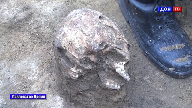 Раскопки курганов бронзового века. г. Павловск Воронежской обл.