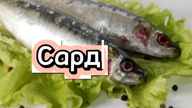 “Питание для Здоровья Костей: Пятерка Источников Кальция, Входящих в Рацион каждый день”