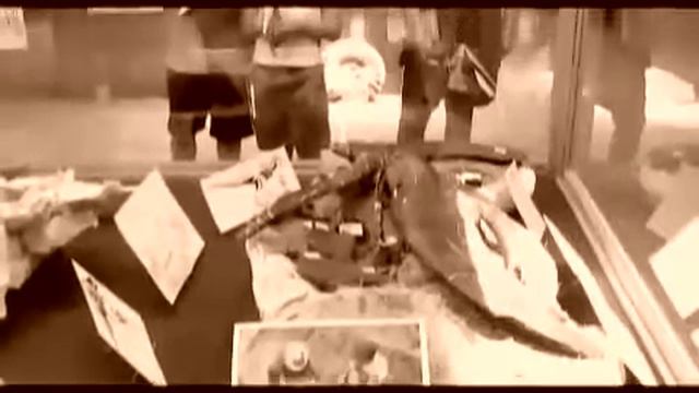 Tate Geological Museum смотреть онлайн