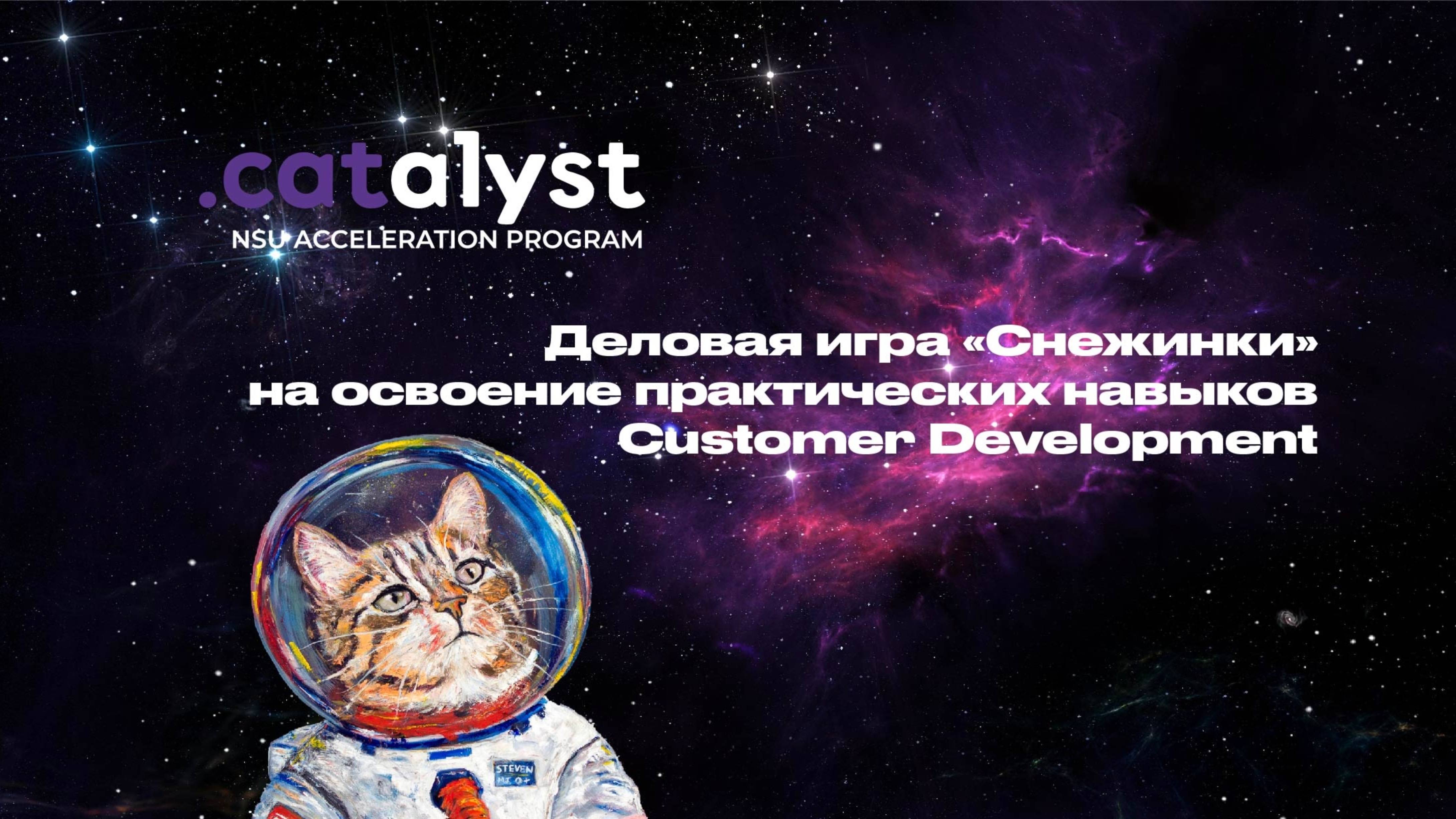 Деловая игра «Снежинки» на освоение практических навыков Customer Development