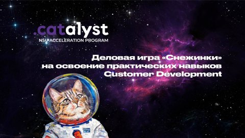 Деловая игра «Снежинки» на освоение практических навыков Customer Development