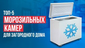 Лучшие морозильные камеры с вертикальной загрузкой. Рейтинг морозилок для загородного дома 2024!