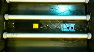 Backrooms - Lighting and Tile Survey (или как поменять лампочку в Закулисье)