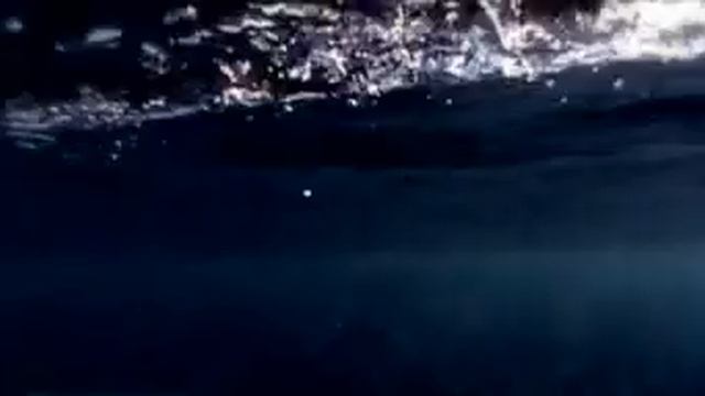 Kseniya Sitnik   Korablik