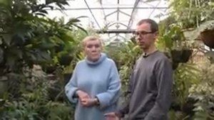 У нас в гостях Александр Скосырь. Поговорим о филодендронах(Plowmanii, mamei)
