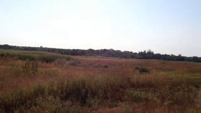 03_01 Александровка [РосТВ] смотреть онлайн