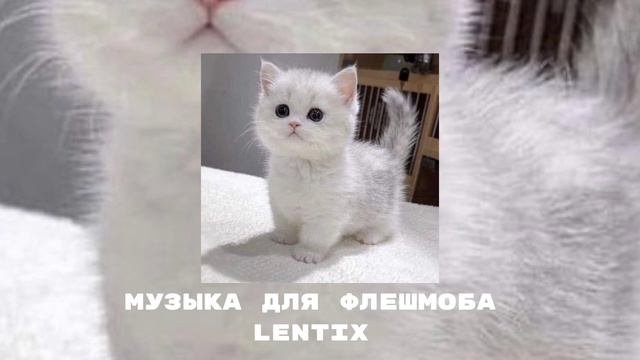 💗музыка для флешмоба✨