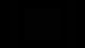 VID-20240922-WA0012.