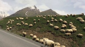 АняАндрей: своим ходом: Дорога из Грузии в Армению