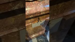 Эфир из Инстаграма государственного Эрмитажа (вещает А.М.Бутягин)