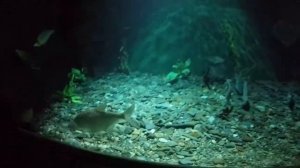 Путешествие по Байкалу