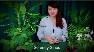 ТАРО ДЛЯ МУЖЧИНА⚡СКОРО ВСТРЕЧА💞НОВАЯ ЛЮБОВЬ❤ОНА ТВОЯ РОДСТВЕННАЯ ДУША🌞совет Высший Сил