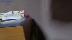 Мои Фронтозы. "Moba F1 и Дикарь